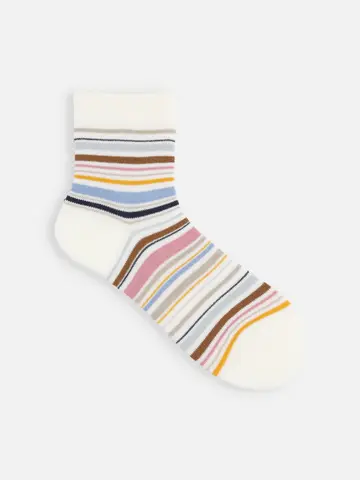 マルチボーダーショートソックス