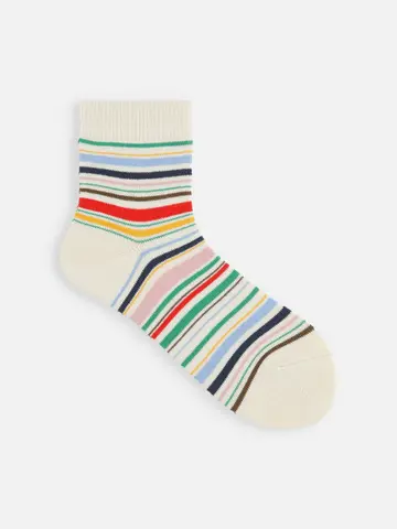 マルチボーダーショートソックス