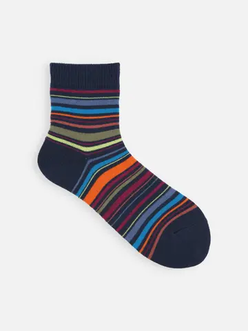 マルチボーダーショートソックス