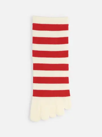 五本指ボーダーソックス