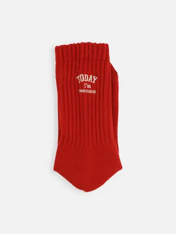 アメリブパイルロゴ刺繍ソックス