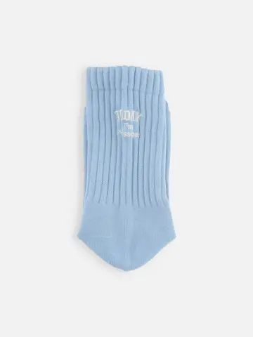 アメリブパイルロゴ刺繍ソックス