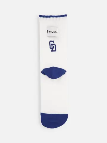 中日ドラゴンズ　ドアラさん直筆文字アメリブソックス