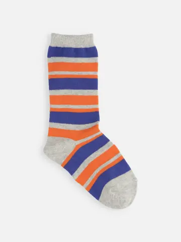 キッズ マルチボーダーソックス19～21cm