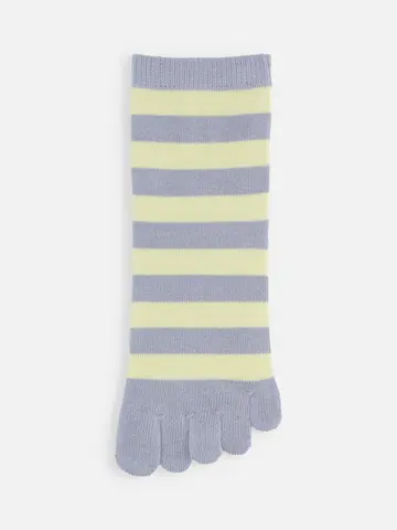 五本指ボーダーショートソックス