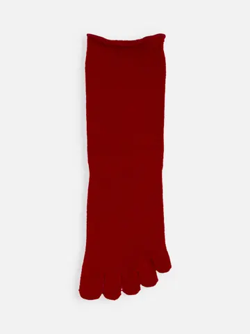 梳毛五本指ソックス