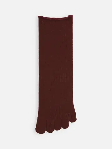 梳毛五本指ソックス