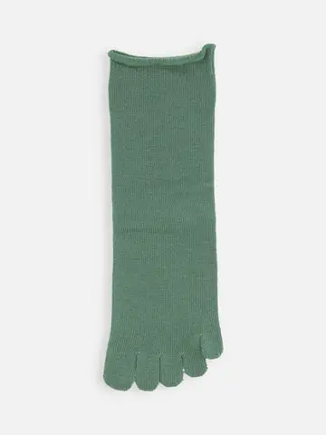 梳毛五本指ソックス