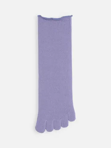 梳毛五本指ソックス