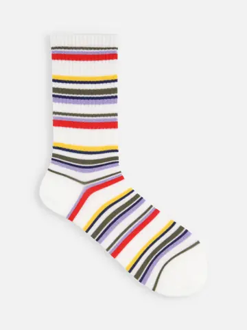 アメリブマルチボーダーソックス