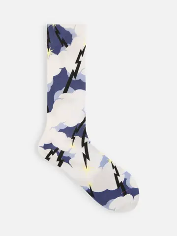 《Descending Painting》プリントソックス(22.5~24.5cm)