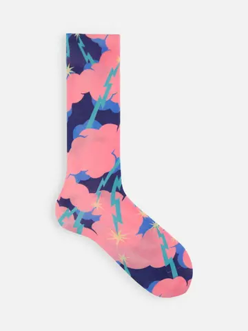 《Descending Painting》プリントソックス(25.0~27.0cm)