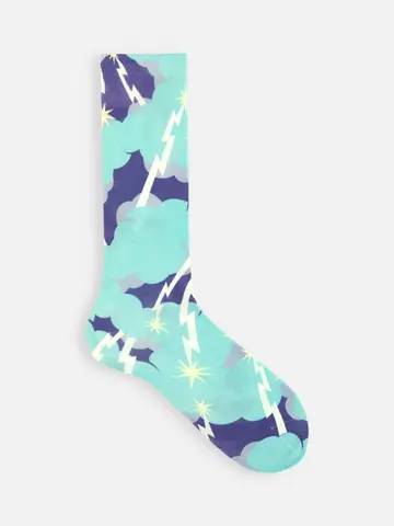 《Descending Painting》プリントソックス(25.0~27.0cm)