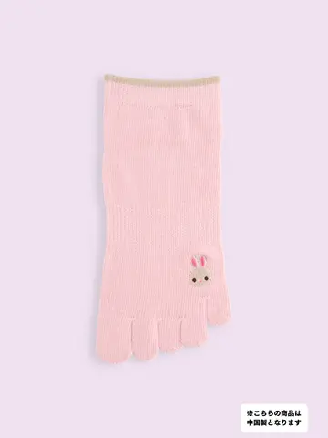 【3足1,386円】五本指色々刺繍スニーカー用ソックス