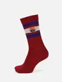 FC Barcelona アメリブラインソックス ワイン
