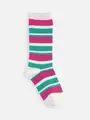 【キッズ】マルチボーダーソックス / 19-21cm オフホワイト