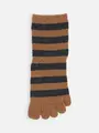 紡毛五本指ボーダーショートソックス キャメル