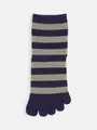 紡毛五本指ボーダーショートソックス ダークパープル