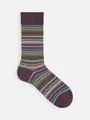 【Tabio MEN】カラフルマルチボーダーソックス マルベリー