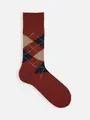 【Tabio MEN】綿アーガイルレギュラー丈ソックス ワイン