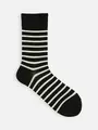 【WEB限定】ボーダーソックス ブラック