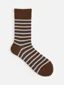 【WEB限定】ボーダーソックス チョコレート